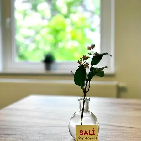 Sali - R4 - Apartmenthaus, Wlan, Tv レムシャイト